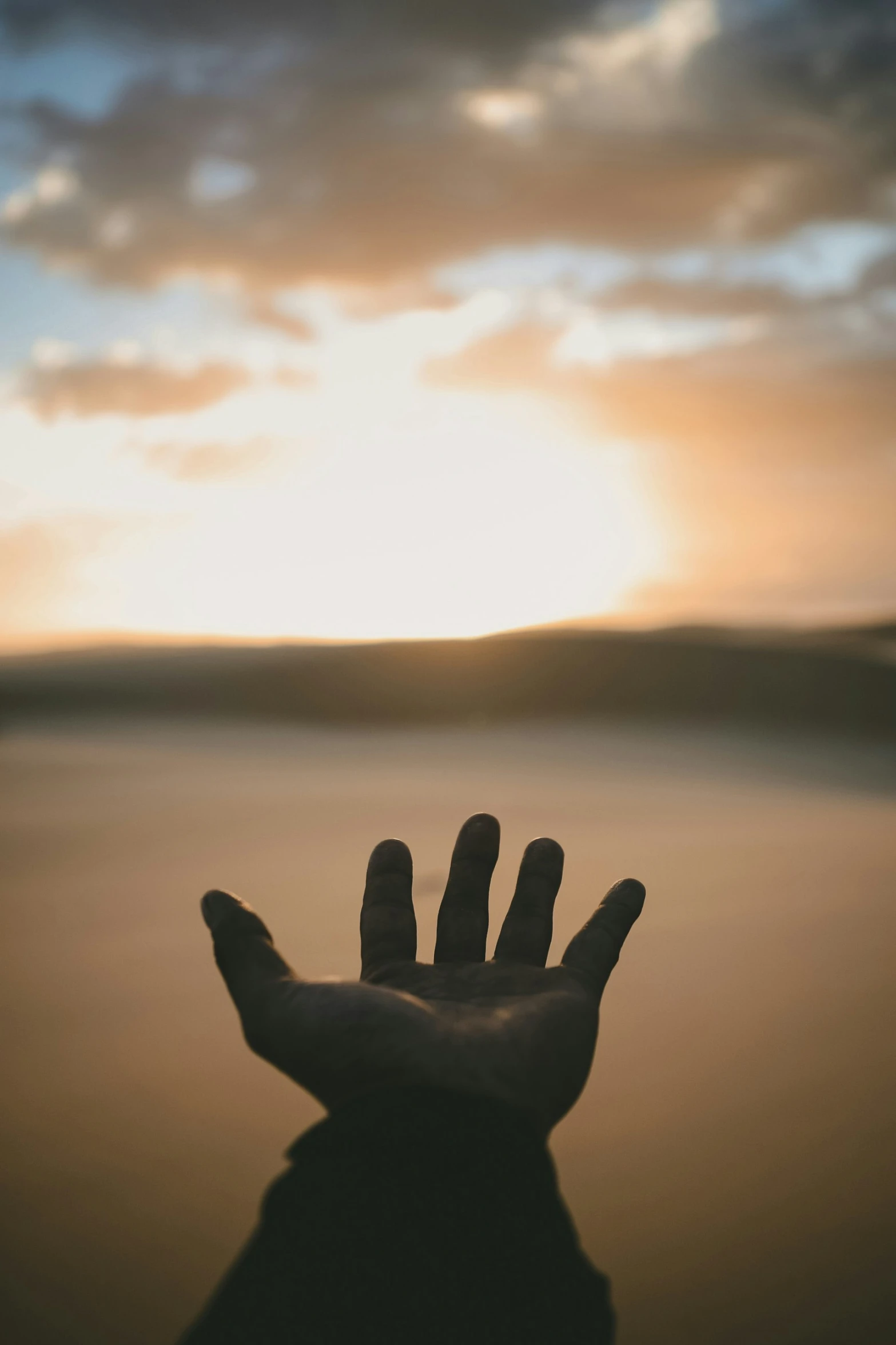 hand held up to the sky with sunlight shining behind it