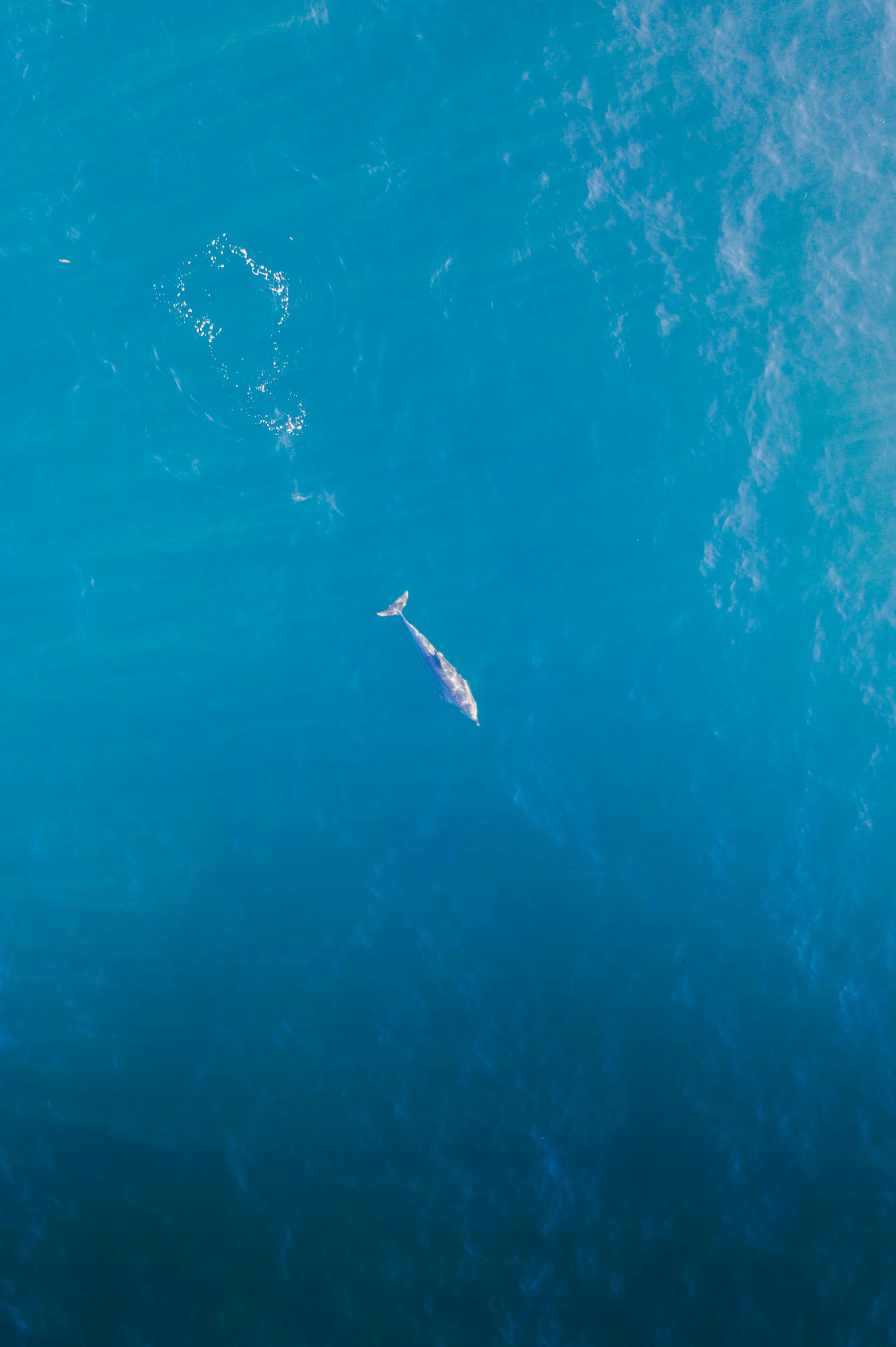 this is an overhead view of the ocean