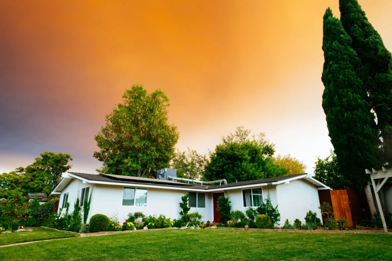 a house with a green tree next to a big house