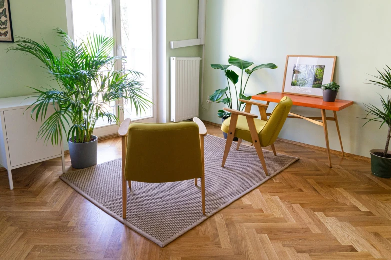 two plants on the corner of an empty living room