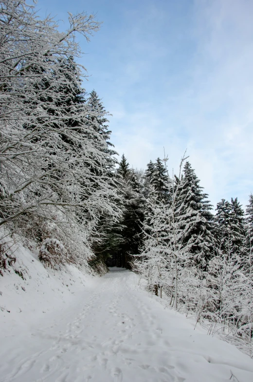 the snowy road is almost covered with snow