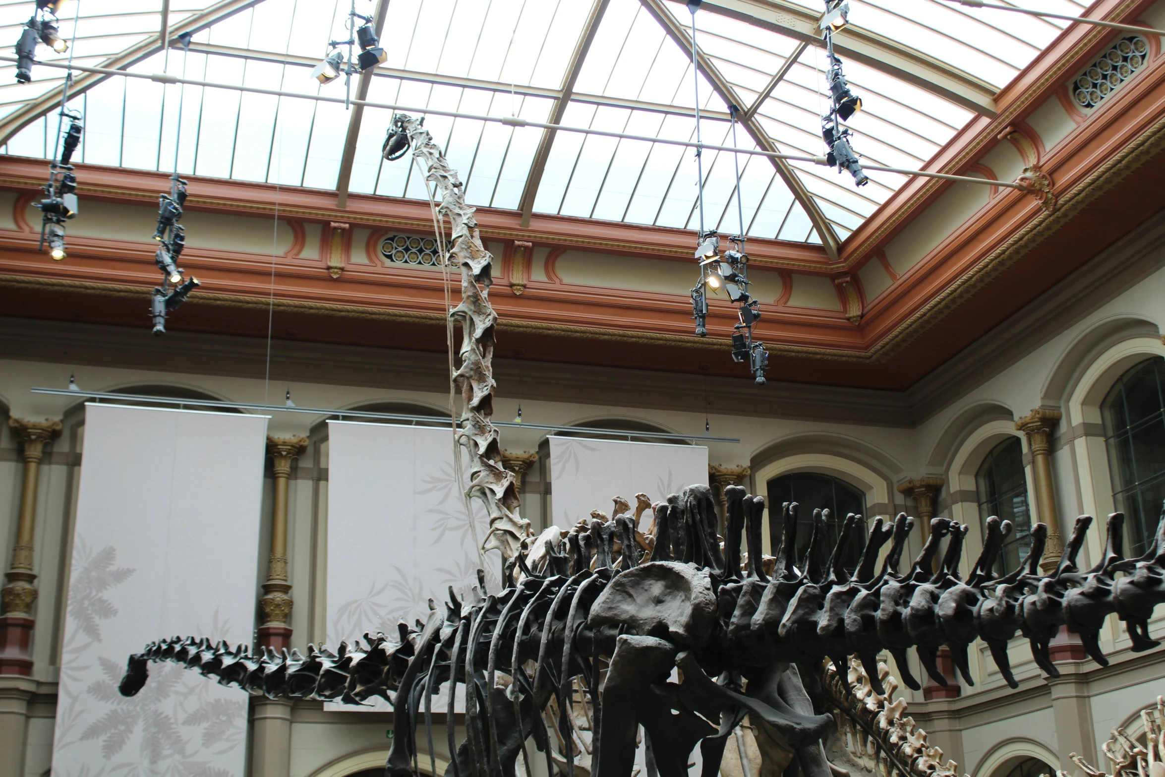 an enormous dinosaur skeleton displayed in the lobby