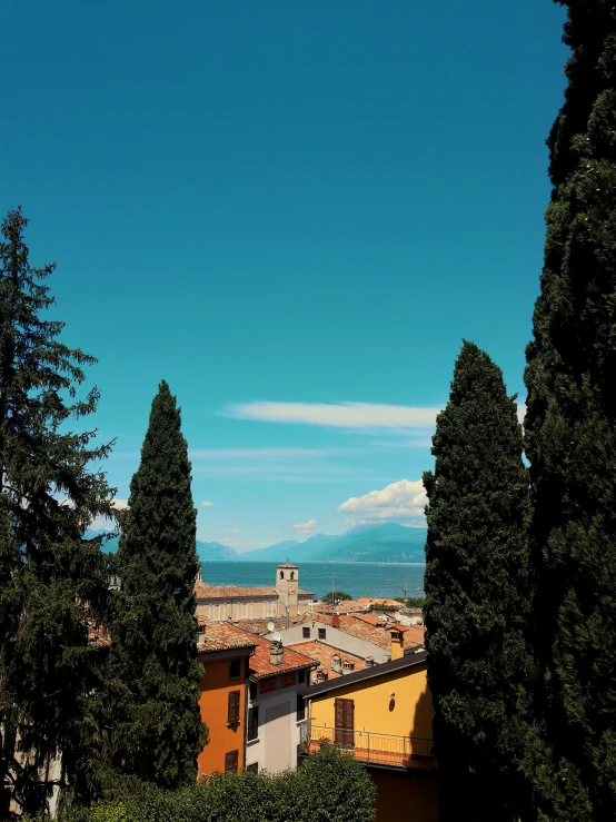 a view from the roof of a building with trees in front of it