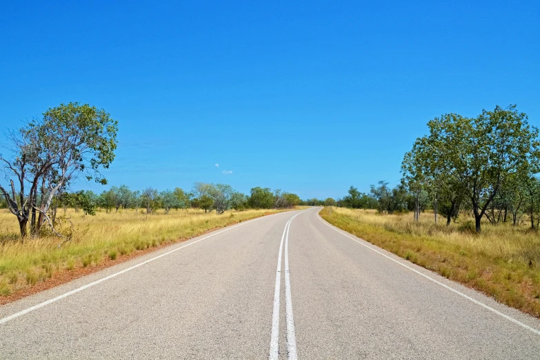 a paved road through a field and surrounded by green trees