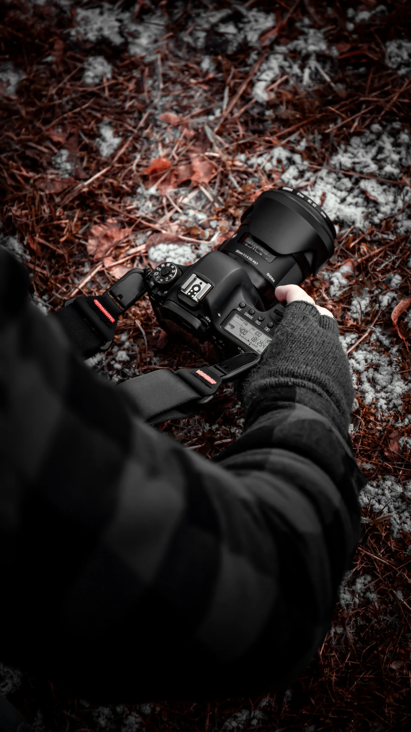 man's hands hold a camera next to some leaves and grass