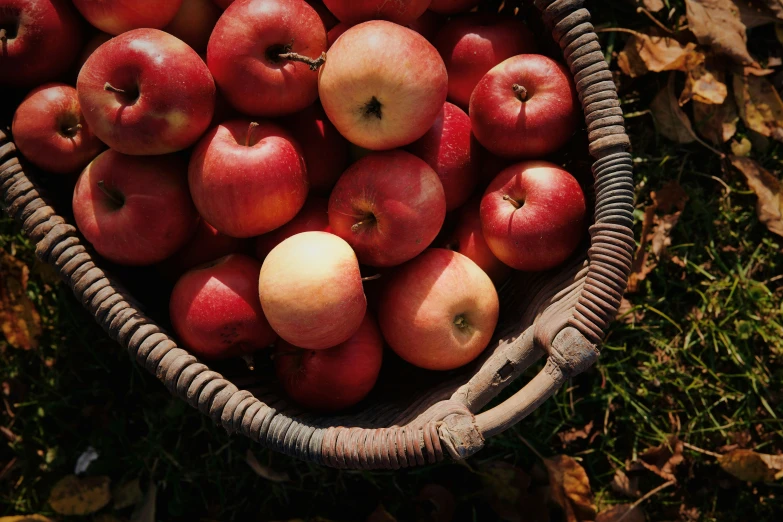 a basket filled with lots of red apples sitting on a grass covered ground