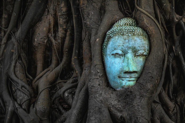 a head is poking out from a tree