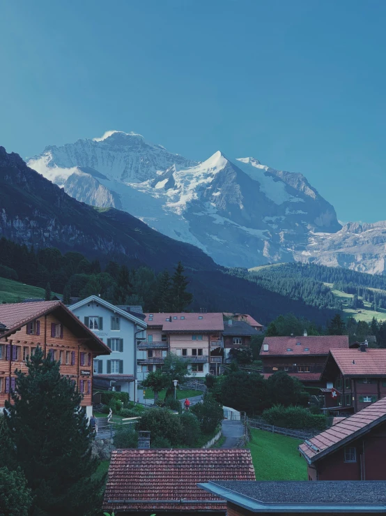 a mountain town in the background with snow on top