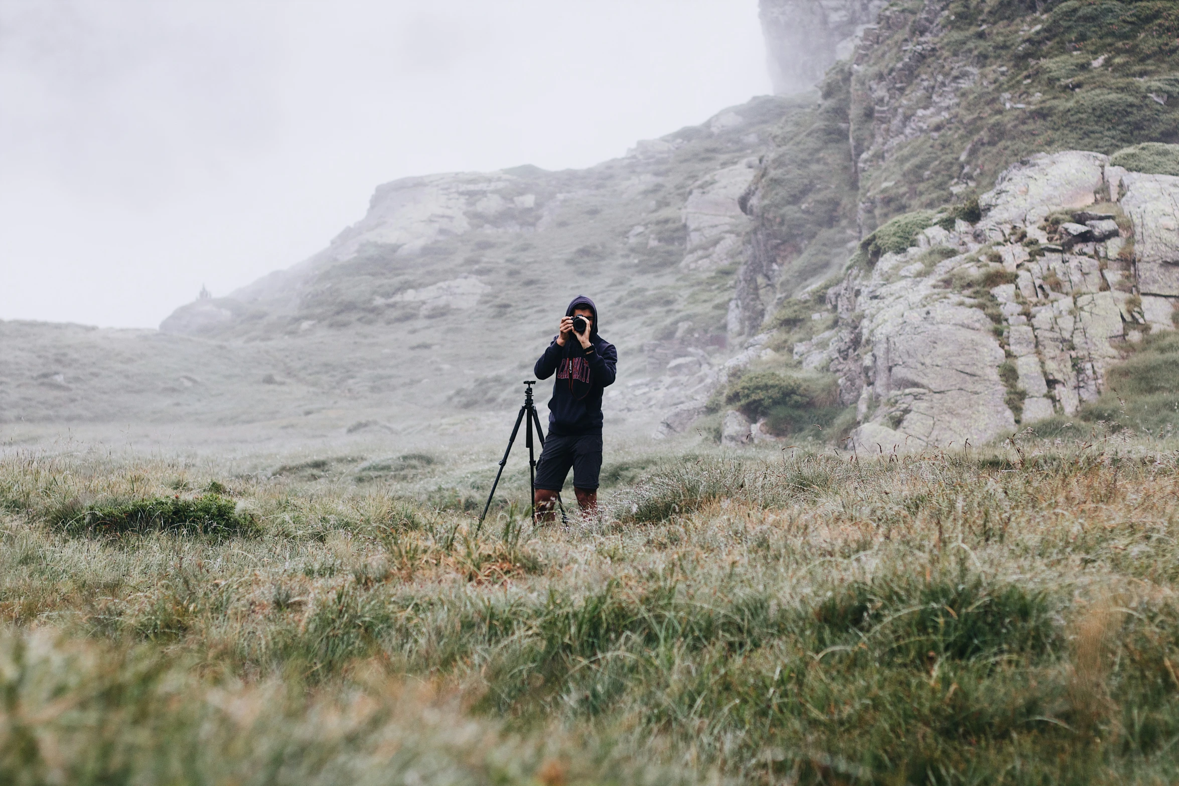 a person is standing in the field taking pictures