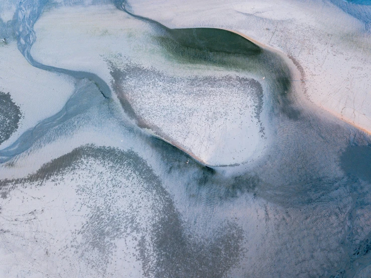 the image is a close up of soing covered in frost