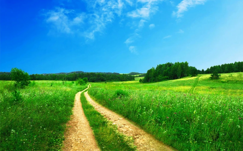 a dirt road in the middle of the green field