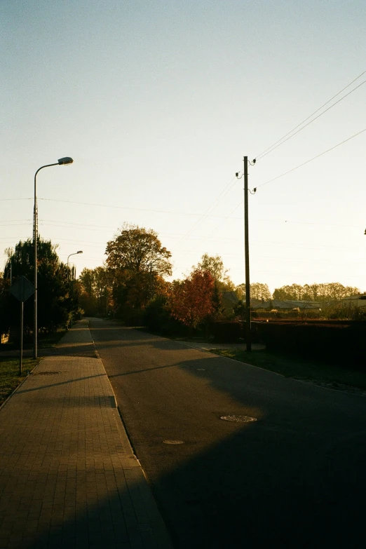 an empty street has lights, bushes and trees