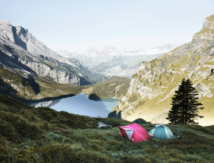 two tents that are sitting in the grass