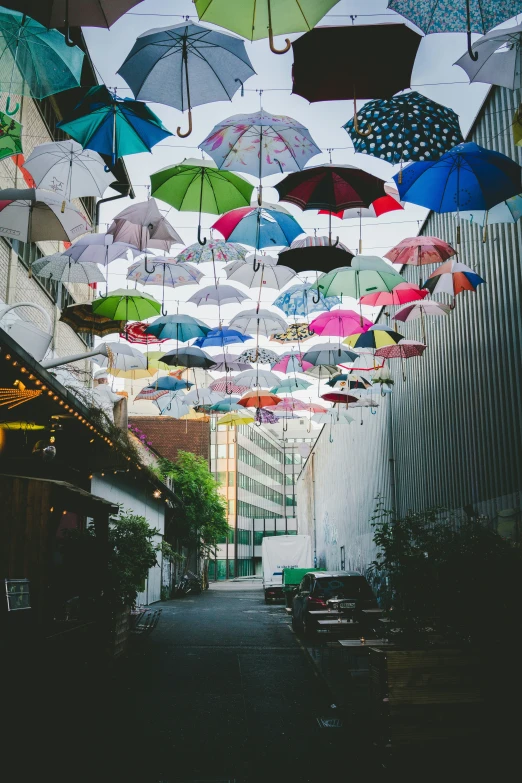 this is an outdoor po of many open umbrellas