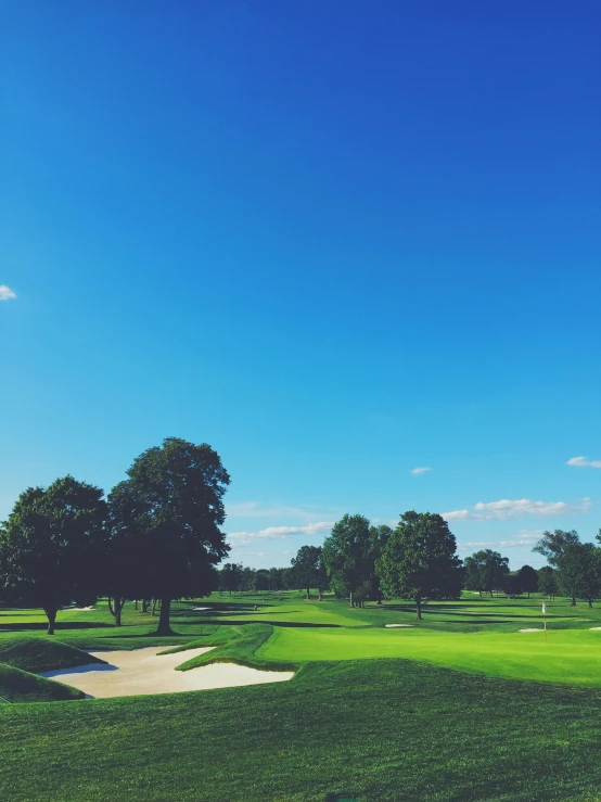 golf greens with a view of the fairway