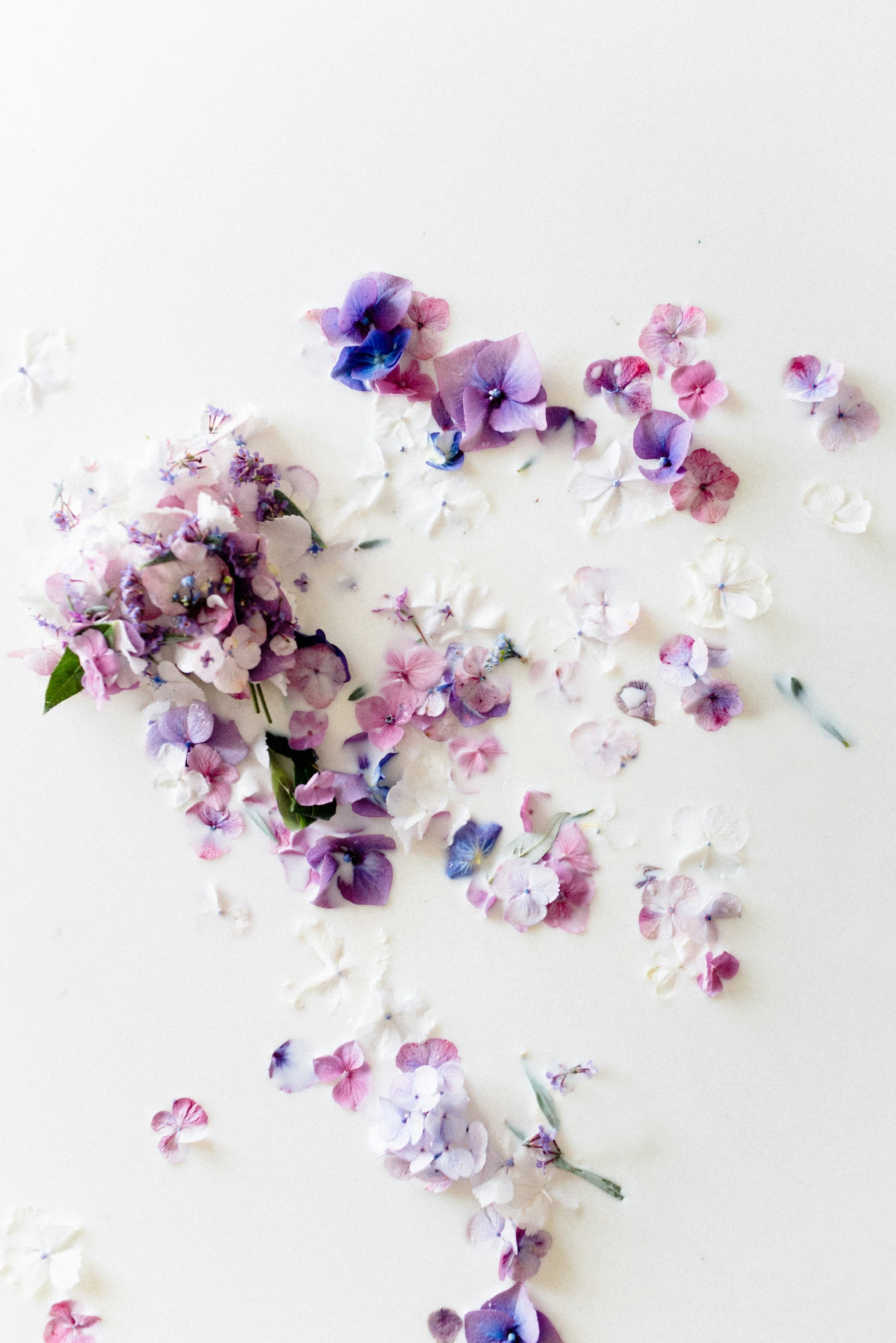 the petals of lilac flowers are being thrown into the air