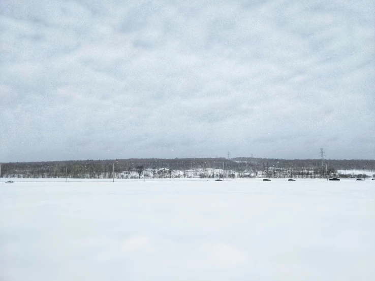 snow covered field with trees and bushes under cloudy sky