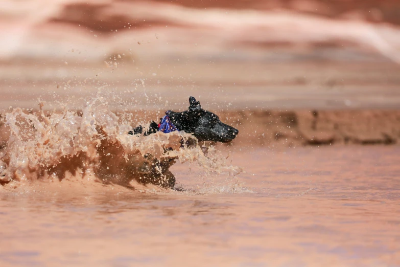 a person rides a motor bike through the water