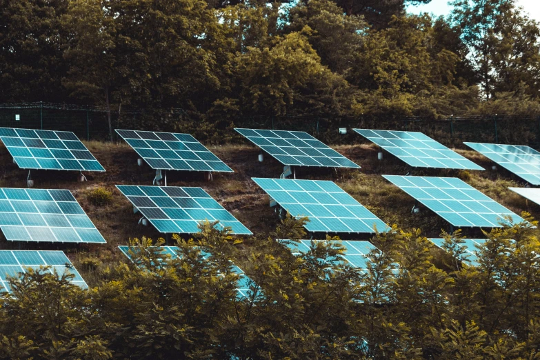 a group of large, bright solar panels on trees