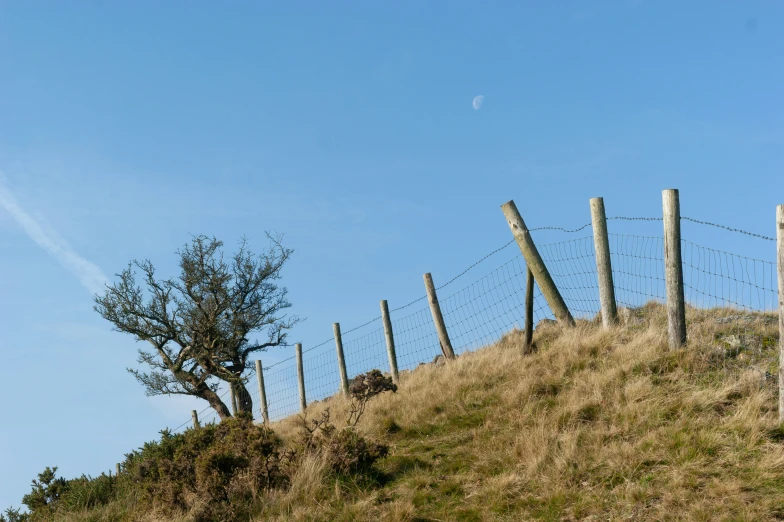 two sheep standing next to a wire fence on the top of a hill