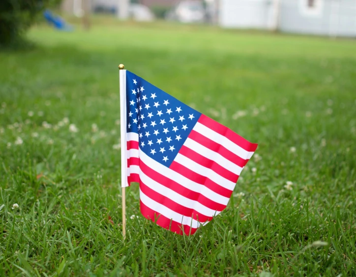 small american flag sitting in the middle of the lawn