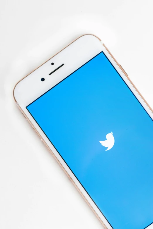 a twitter logo on the front of an iphone