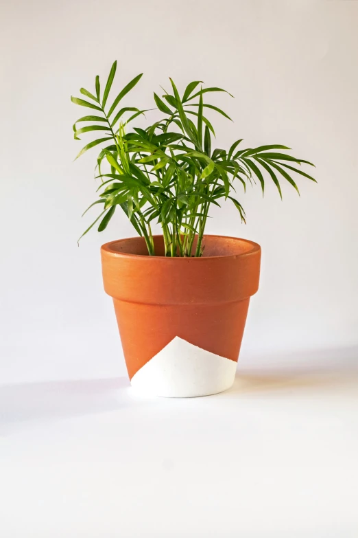 an orange and white planter with a green leaf on it