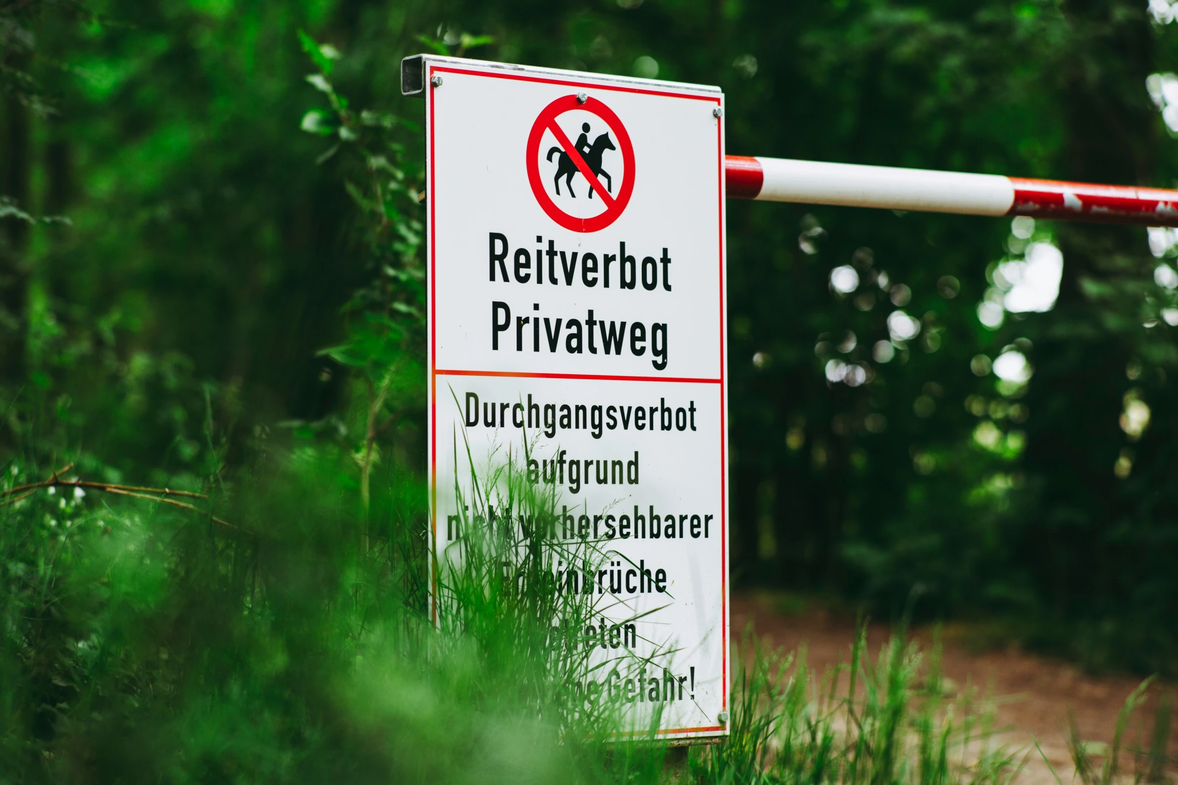 a red and white sign next to some trees