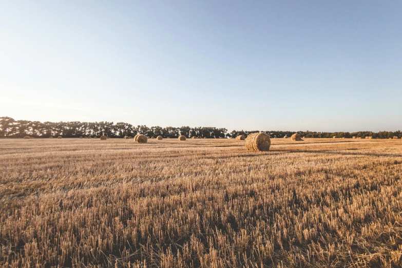 this po shows a grain field and a bale of hay