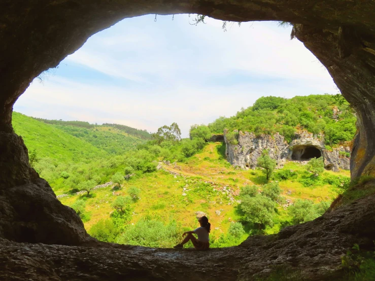 there is a cave sitting in the middle of a forest