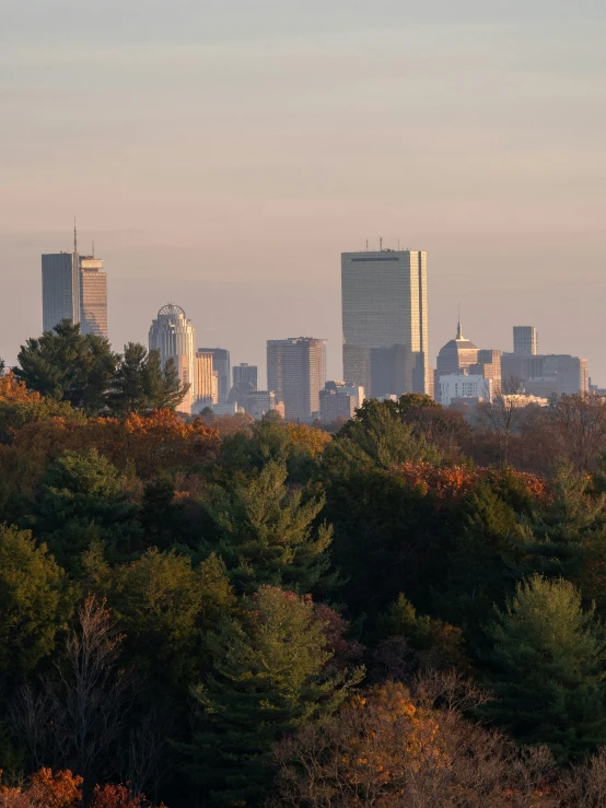 a view of some very tall buildings near trees