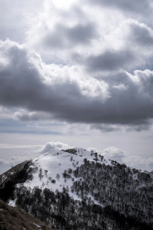 there is an old tree on the top of this mountain