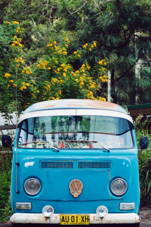 an old blue van is parked outside of some bushes