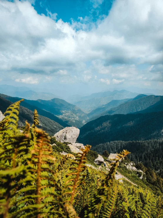 view from the top of a hill overlooking trees and rocks