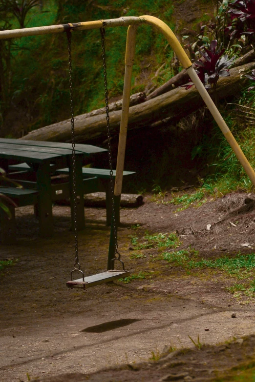 the bench and swing are empty in the park