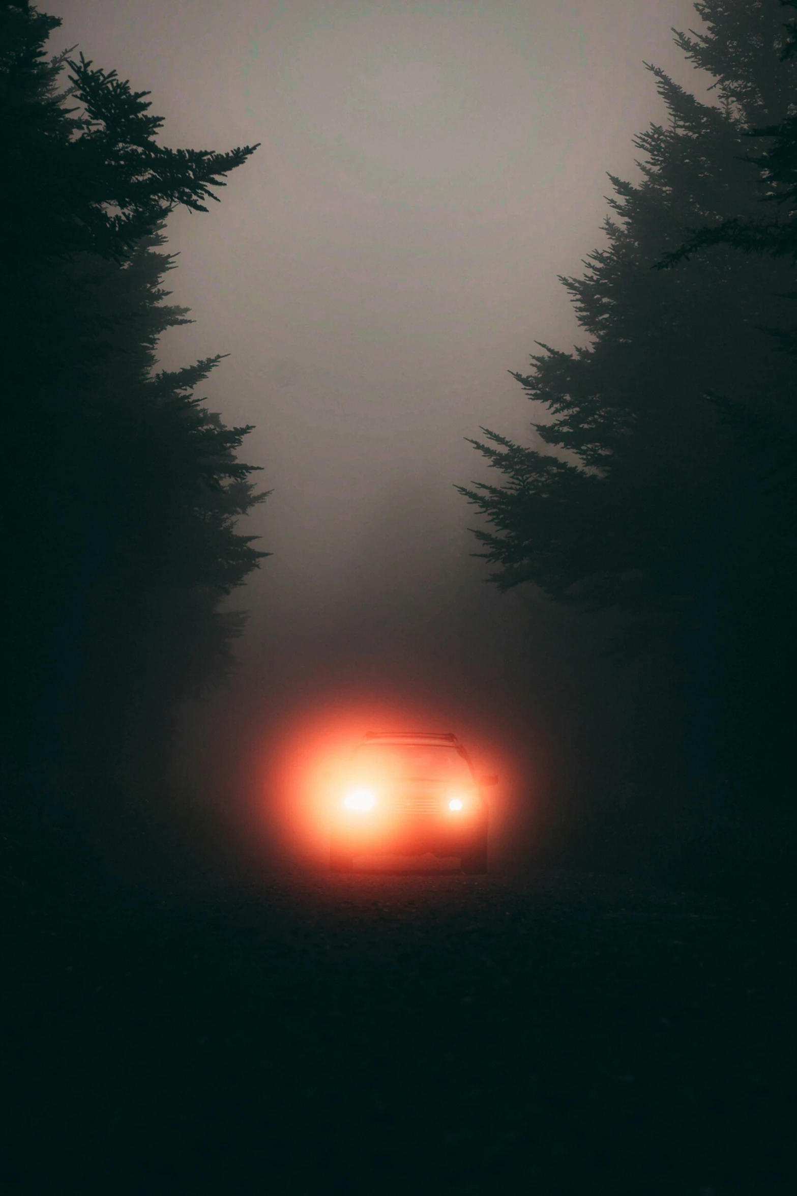 car driving through dark fog on forest road