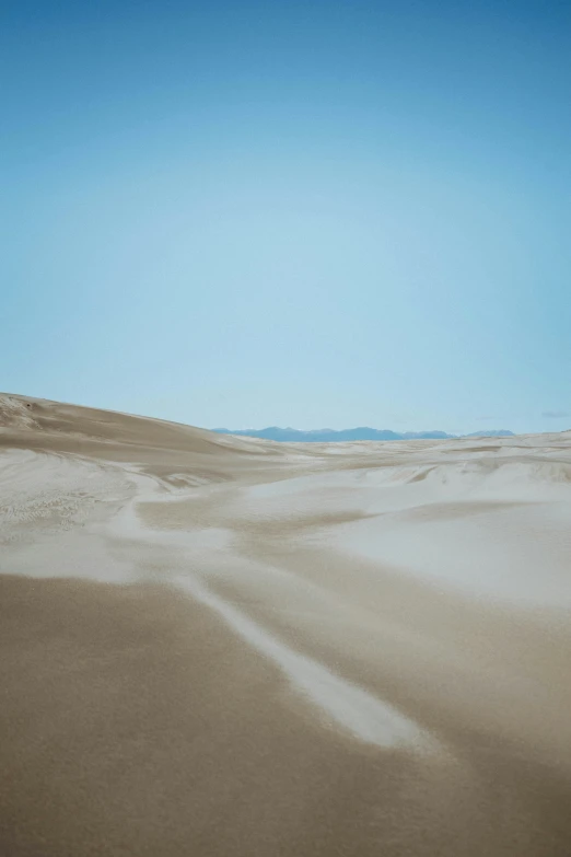 desert scene with distant dunes and sky in background