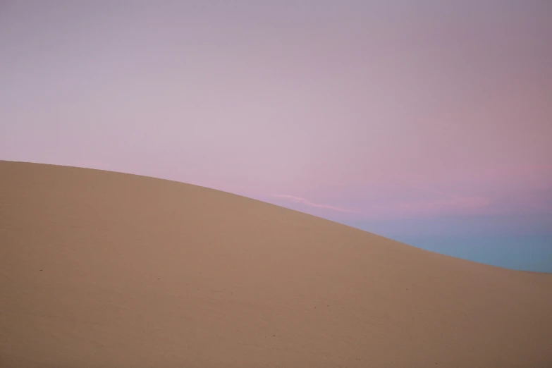 a lone horse grazes in a large dry field