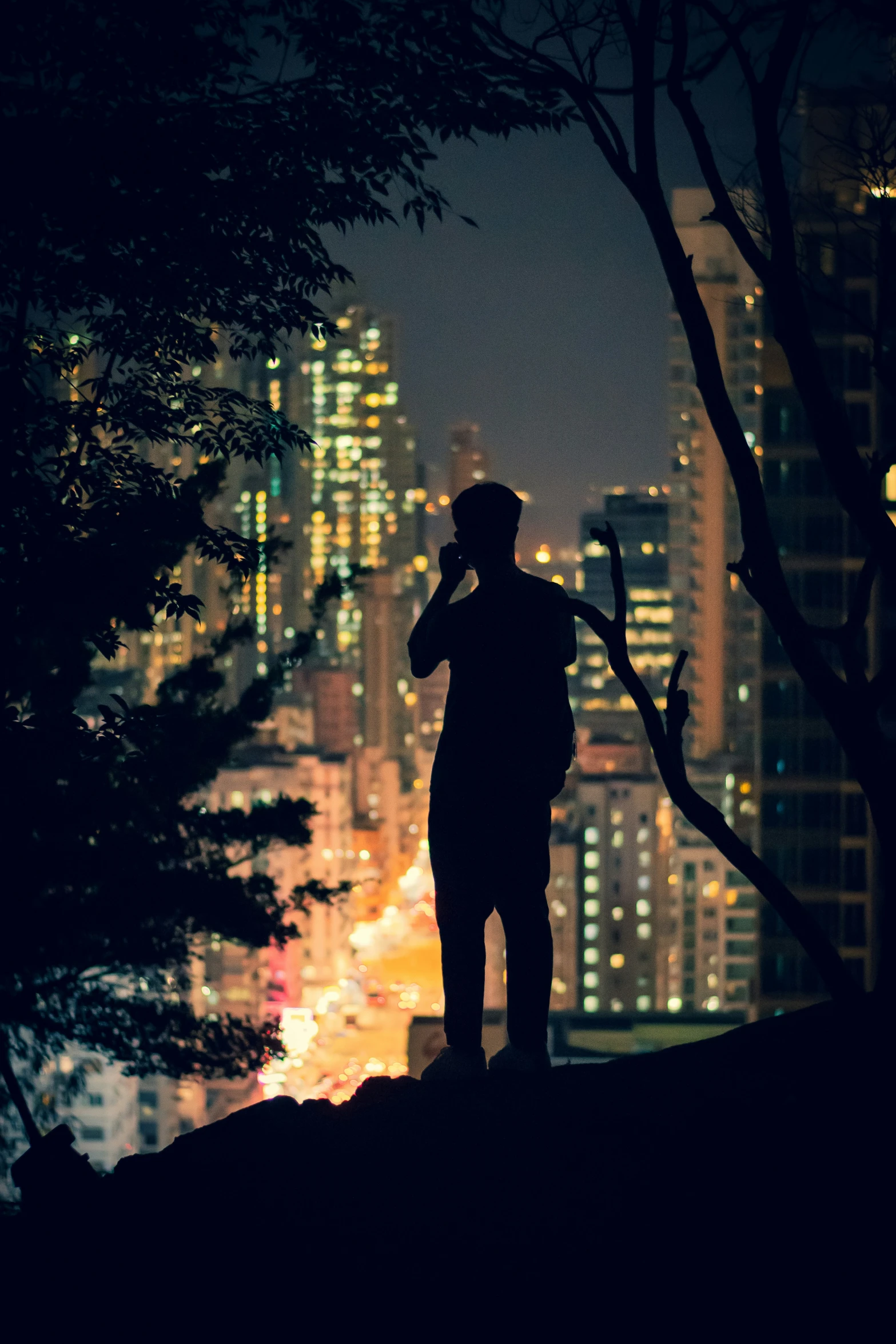 silhouette of person talking on cell phone near city