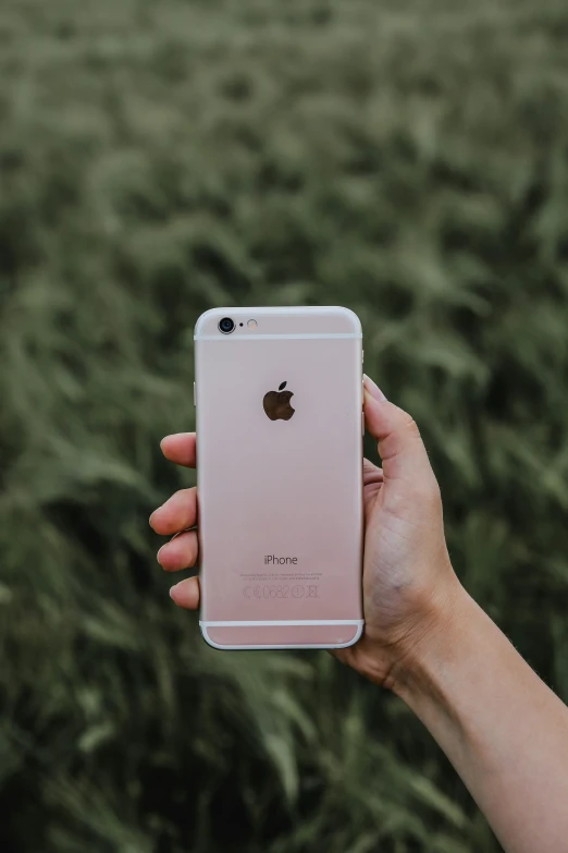 someone holding an iphone in front of some grass