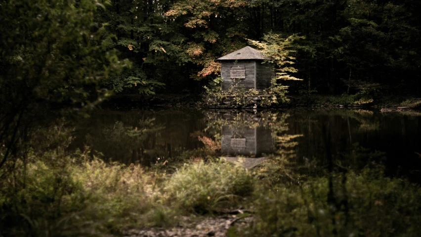 the water has been still and there are trees surrounding it