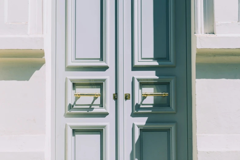 a double door with no glass and gold handles on the side