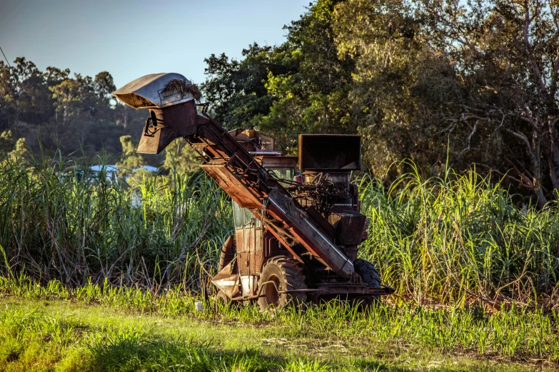 an old, rusty tractor sits in the weeds