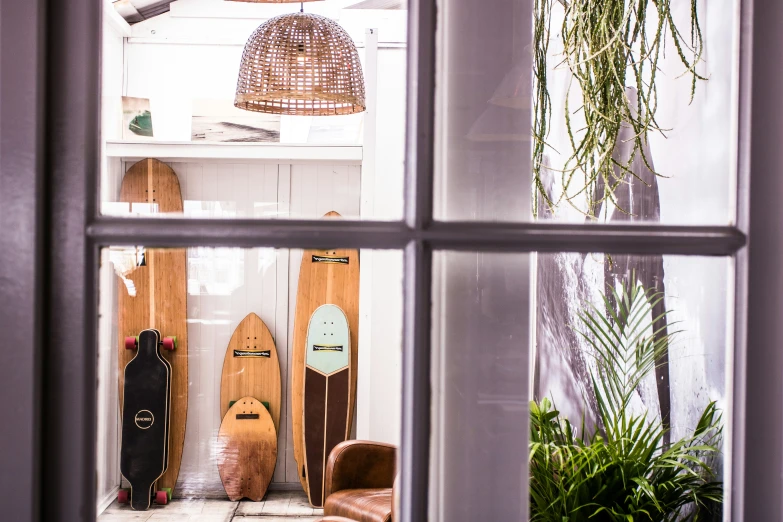 several surfboards sitting behind bars with plants in them