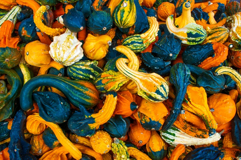 orange and green marbles that look like dolphins, dolphins, and pumpkins