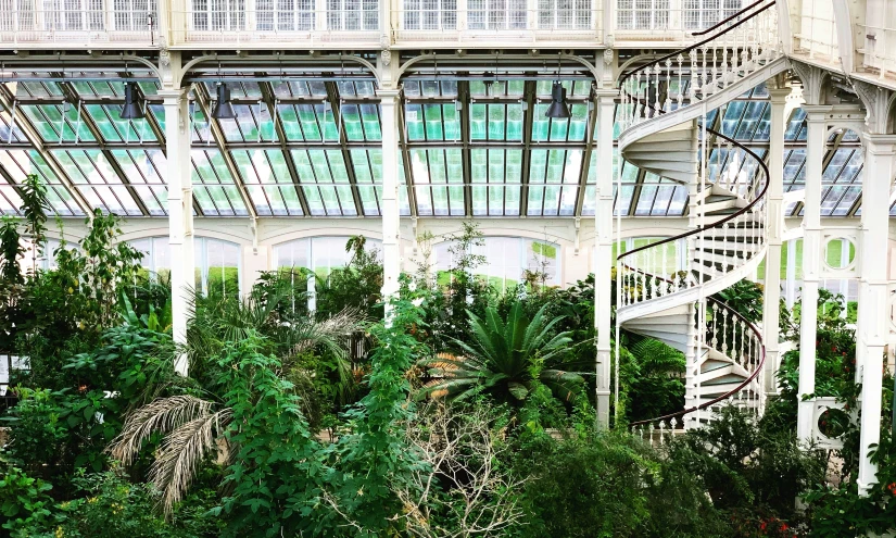 the interior of a green house with tall ceilings