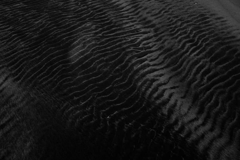 sand dunes in the dunes of the ocean