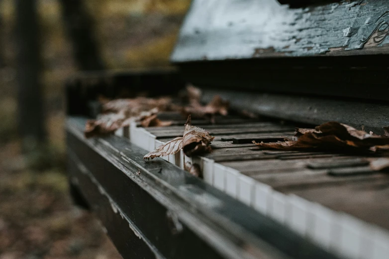 the side of an old wooden bench is covered with leaves