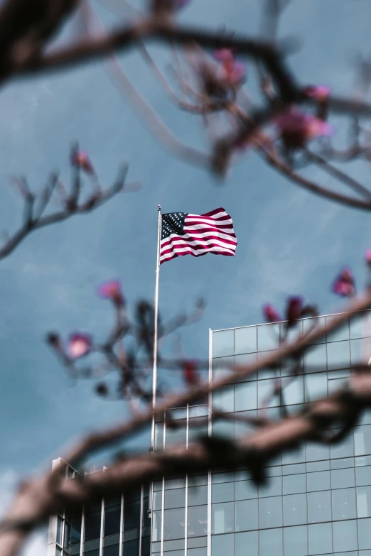 a flag flying on top of a tall building