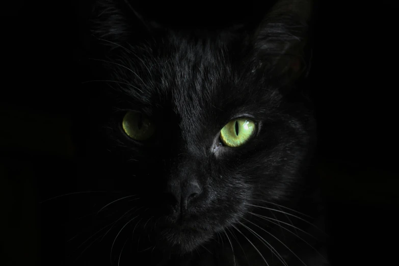 the green eyes of a black cat that appears to be glowing